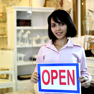 Small Business Link